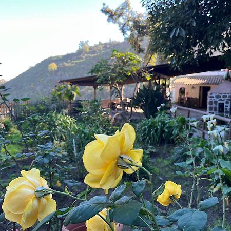 Finca Los Arcos Del Laurel Moya  Eksteriør billede