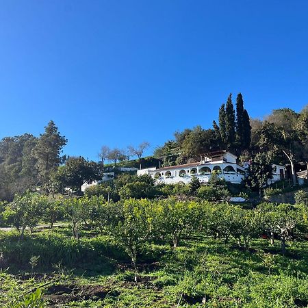 Finca Los Arcos Del Laurel Moya  Eksteriør billede