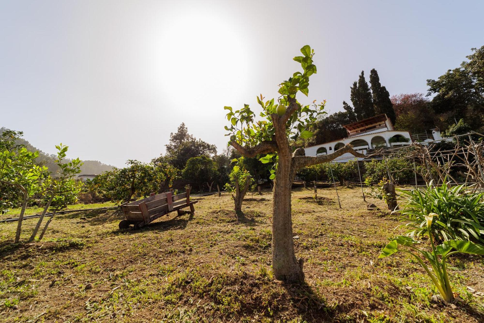 Finca Los Arcos Del Laurel Moya  Eksteriør billede