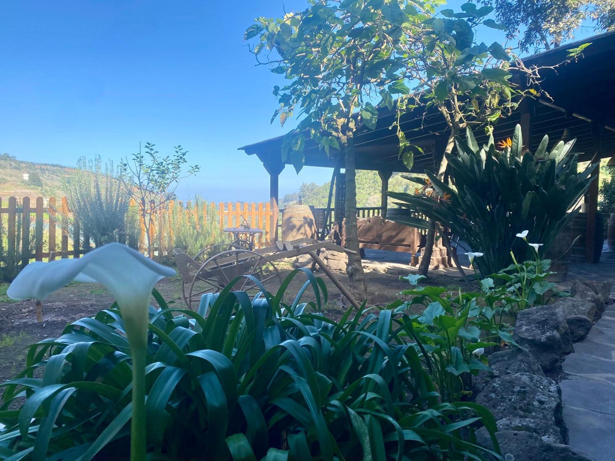 Finca Los Arcos Del Laurel Moya  Eksteriør billede