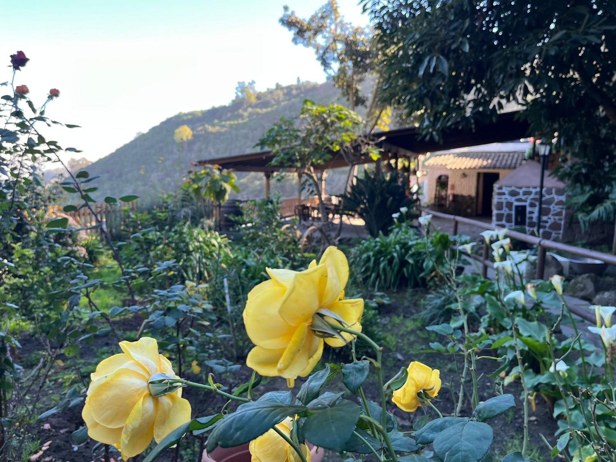 Finca Los Arcos Del Laurel Moya  Eksteriør billede
