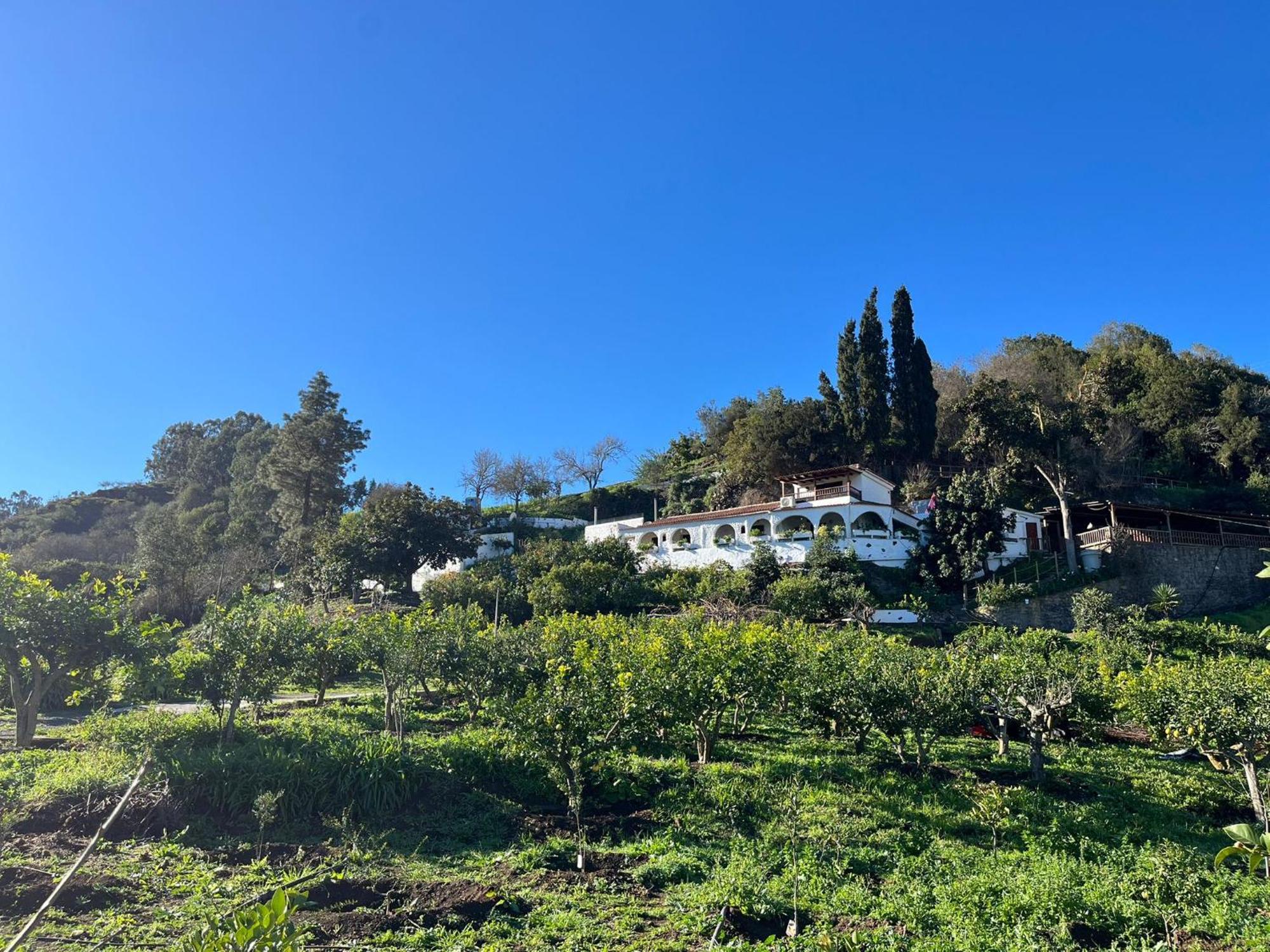 Finca Los Arcos Del Laurel Moya  Eksteriør billede