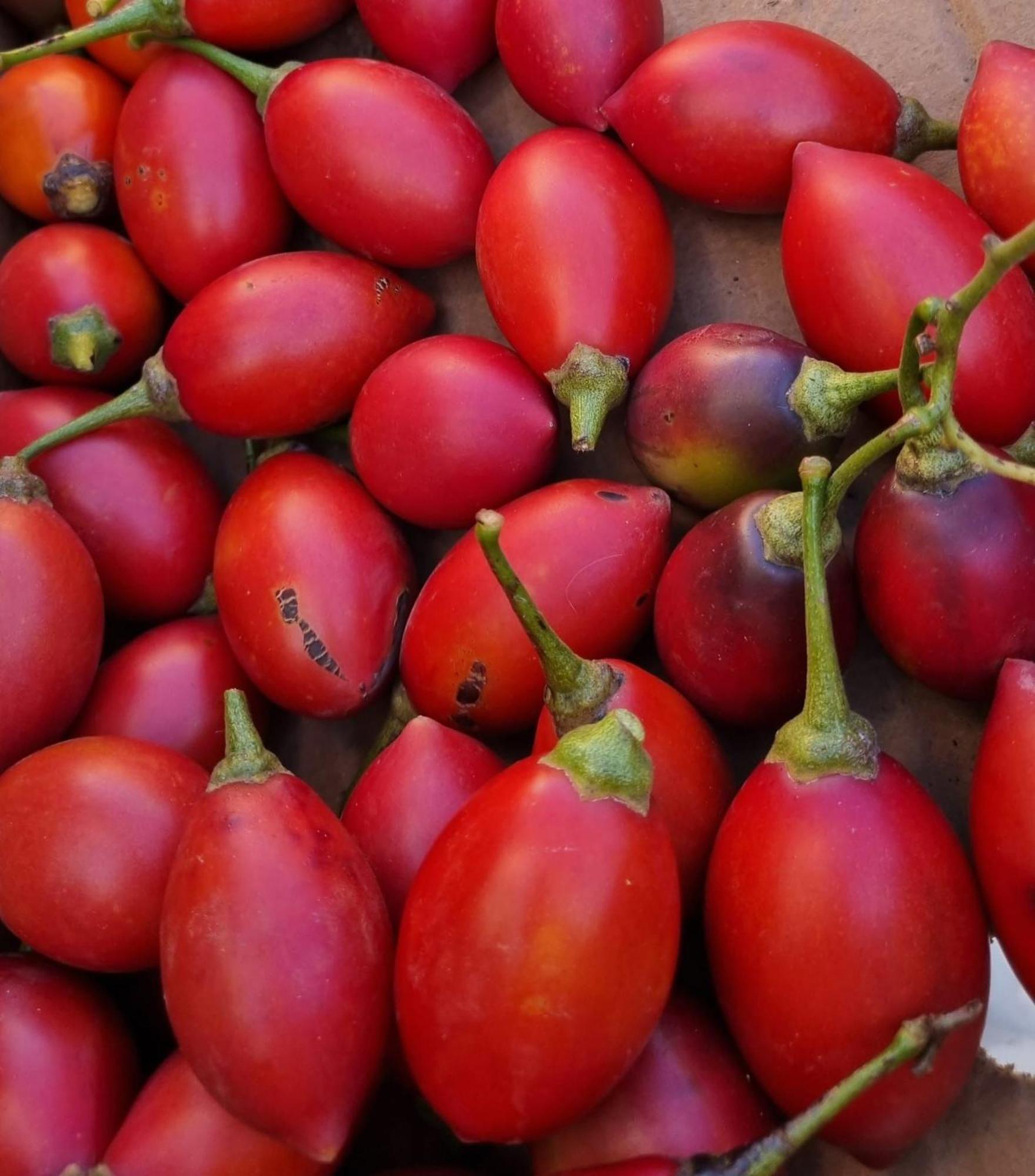 Finca Los Arcos Del Laurel Moya  Eksteriør billede