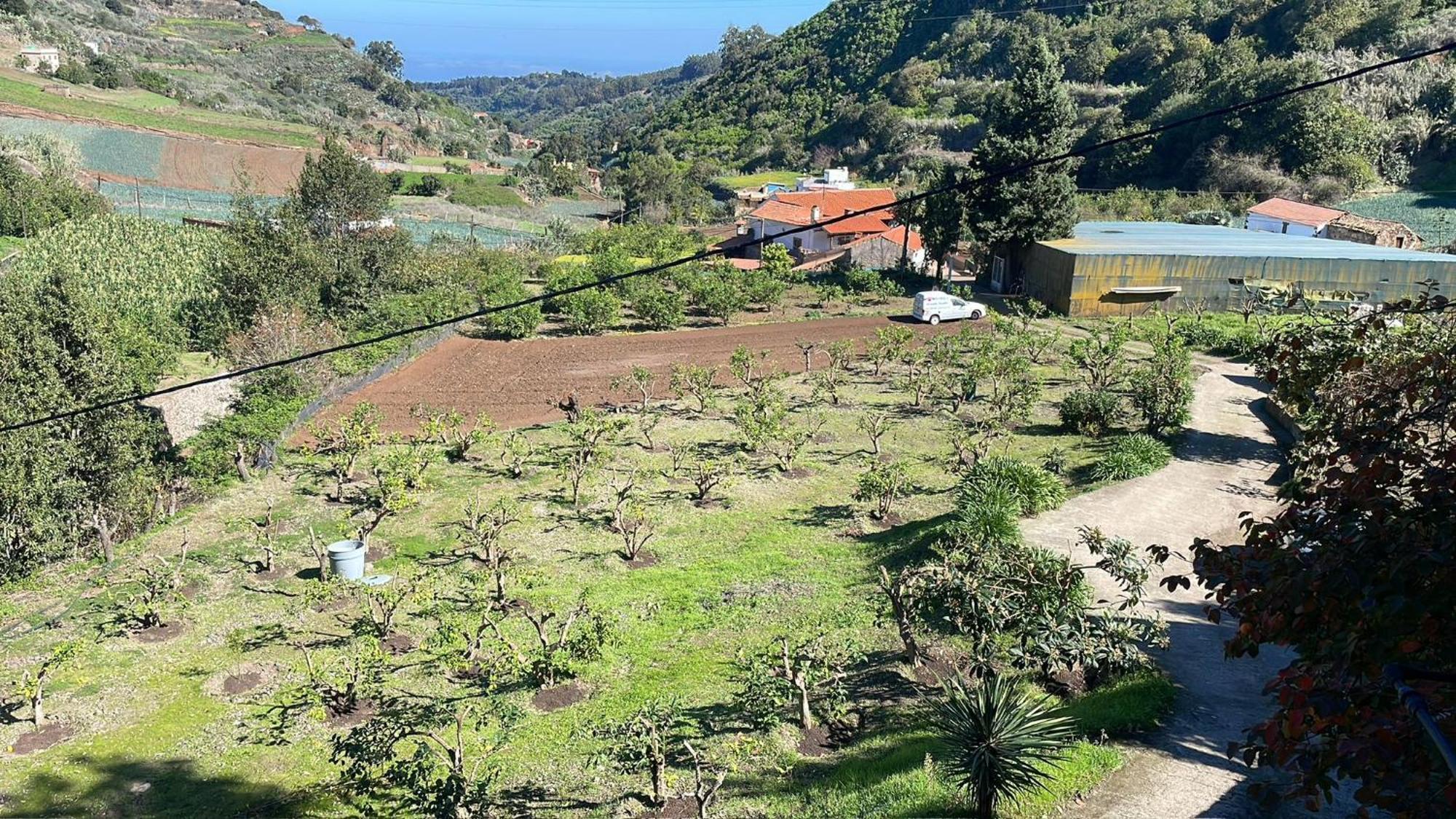 Finca Los Arcos Del Laurel Moya  Eksteriør billede
