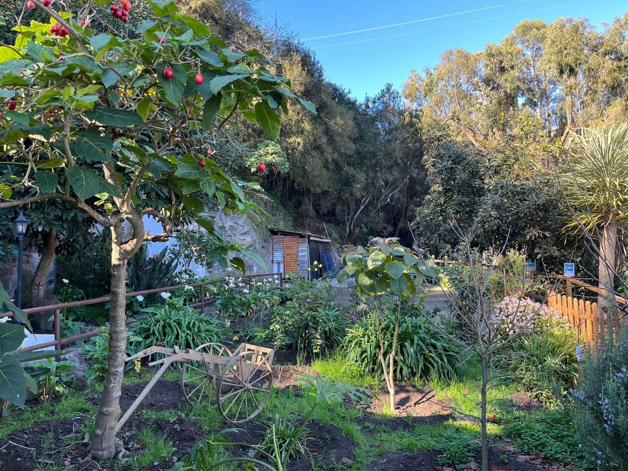 Finca Los Arcos Del Laurel Moya  Eksteriør billede
