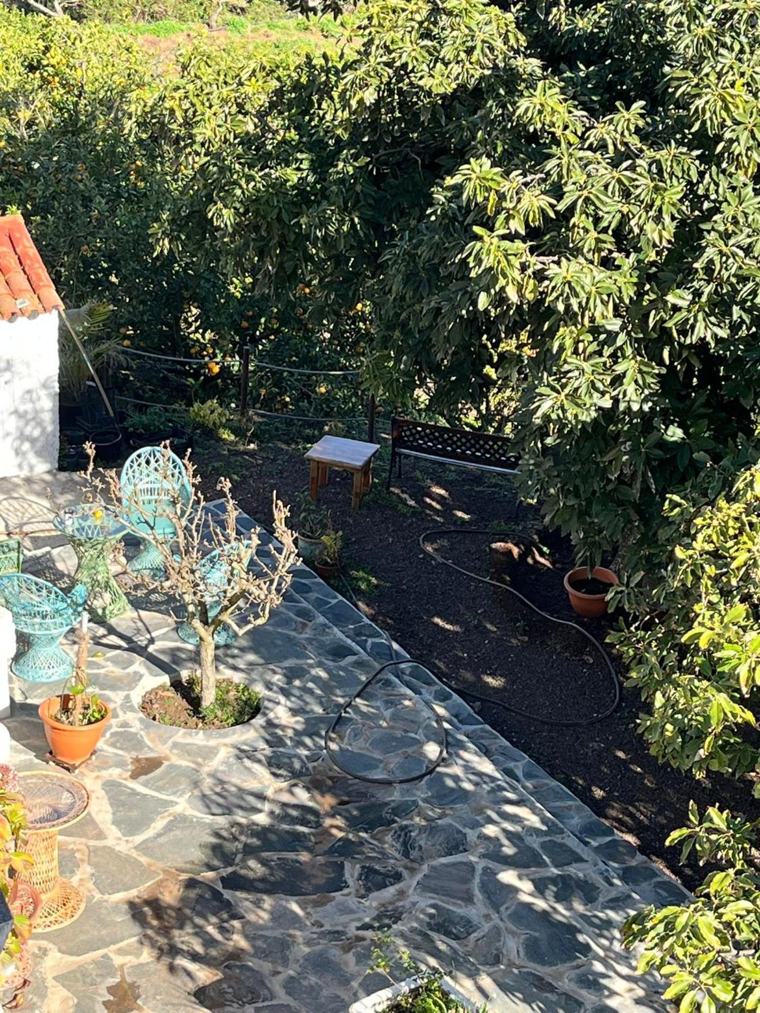Finca Los Arcos Del Laurel Moya  Eksteriør billede