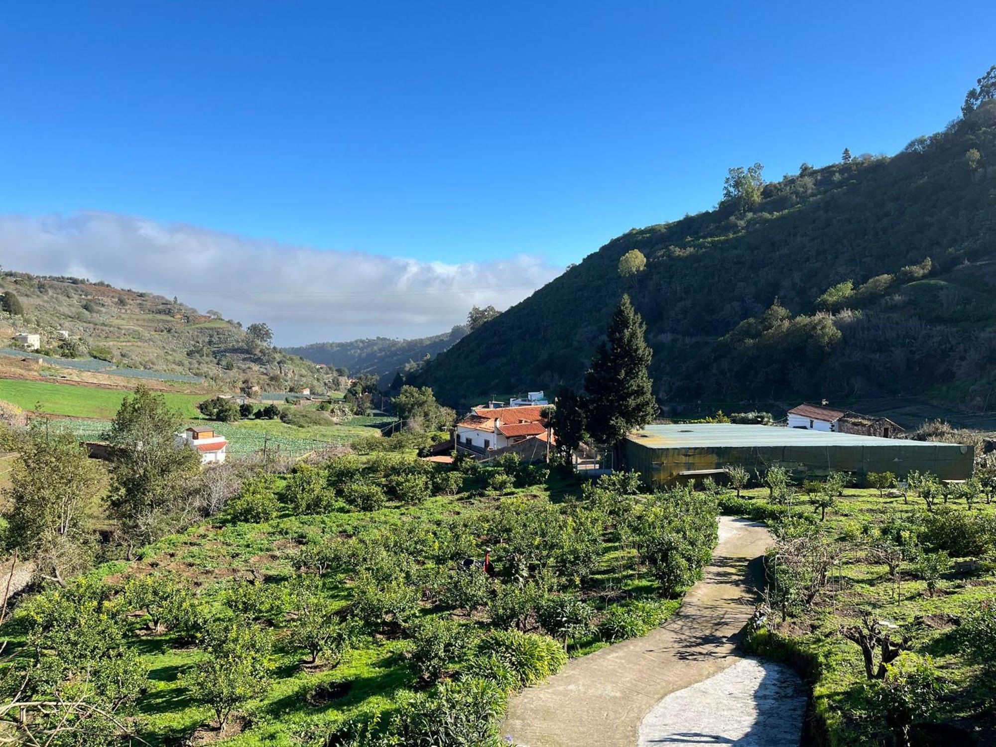 Finca Los Arcos Del Laurel Moya  Eksteriør billede