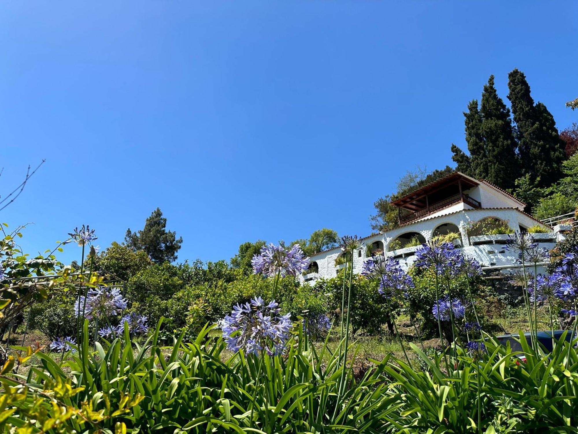 Finca Los Arcos Del Laurel Moya  Eksteriør billede